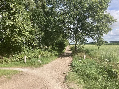 Zeyerveld via Lossingpad, Rheeer Weg and Hardenbergspad