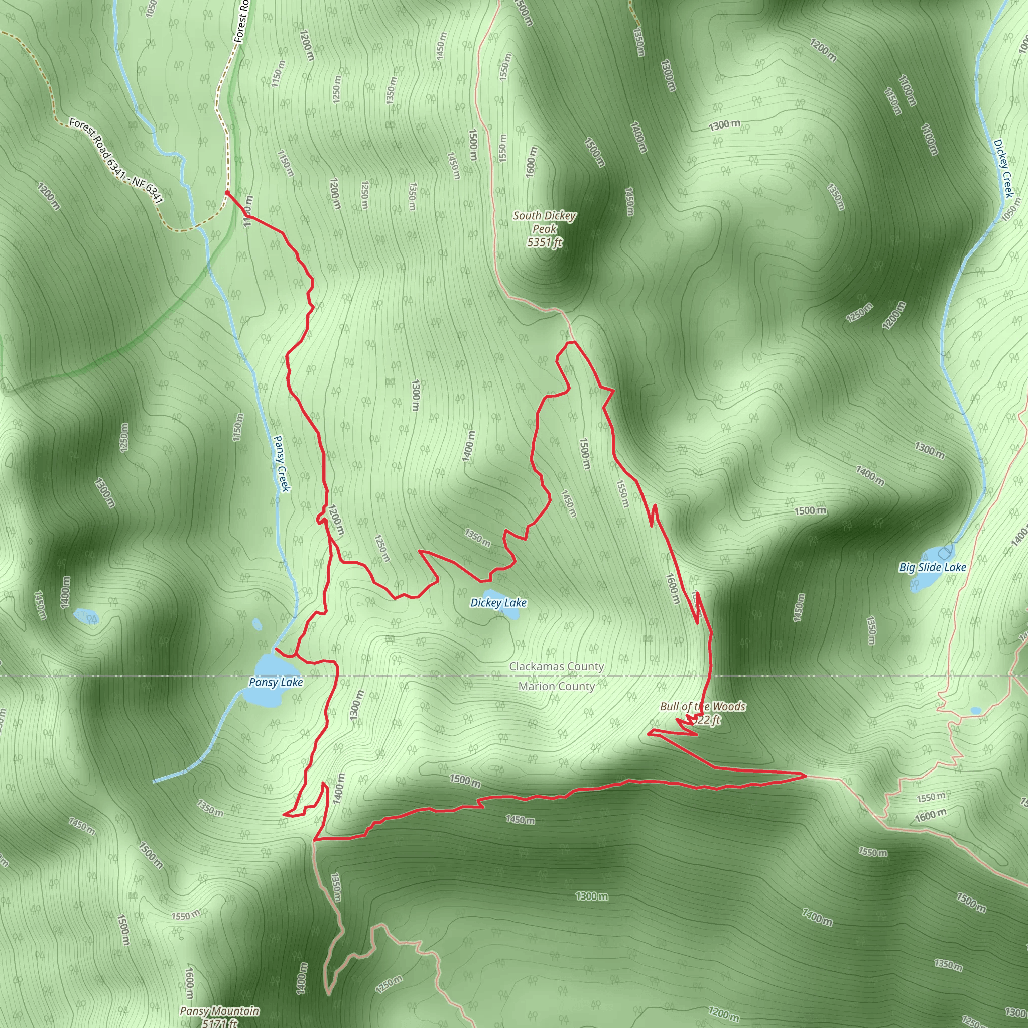 Pansy Lake and Bull of the Woods via Pansy Lake Trail mobile static map