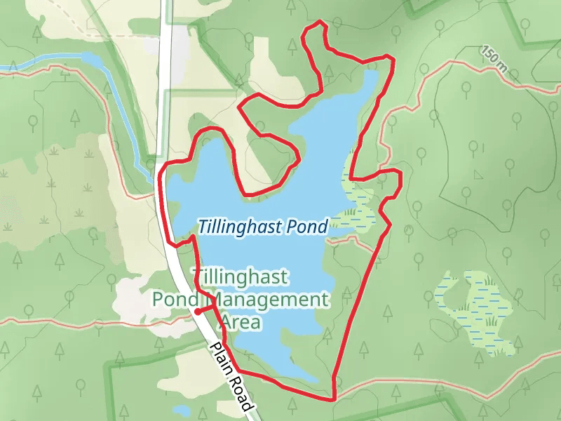 Tillinghast Pond Loop Trail