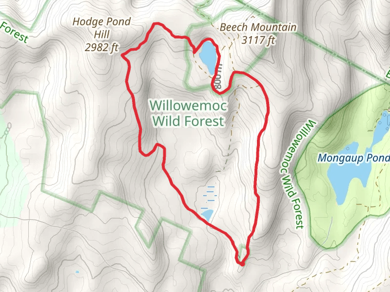 Hodge Pond Loop