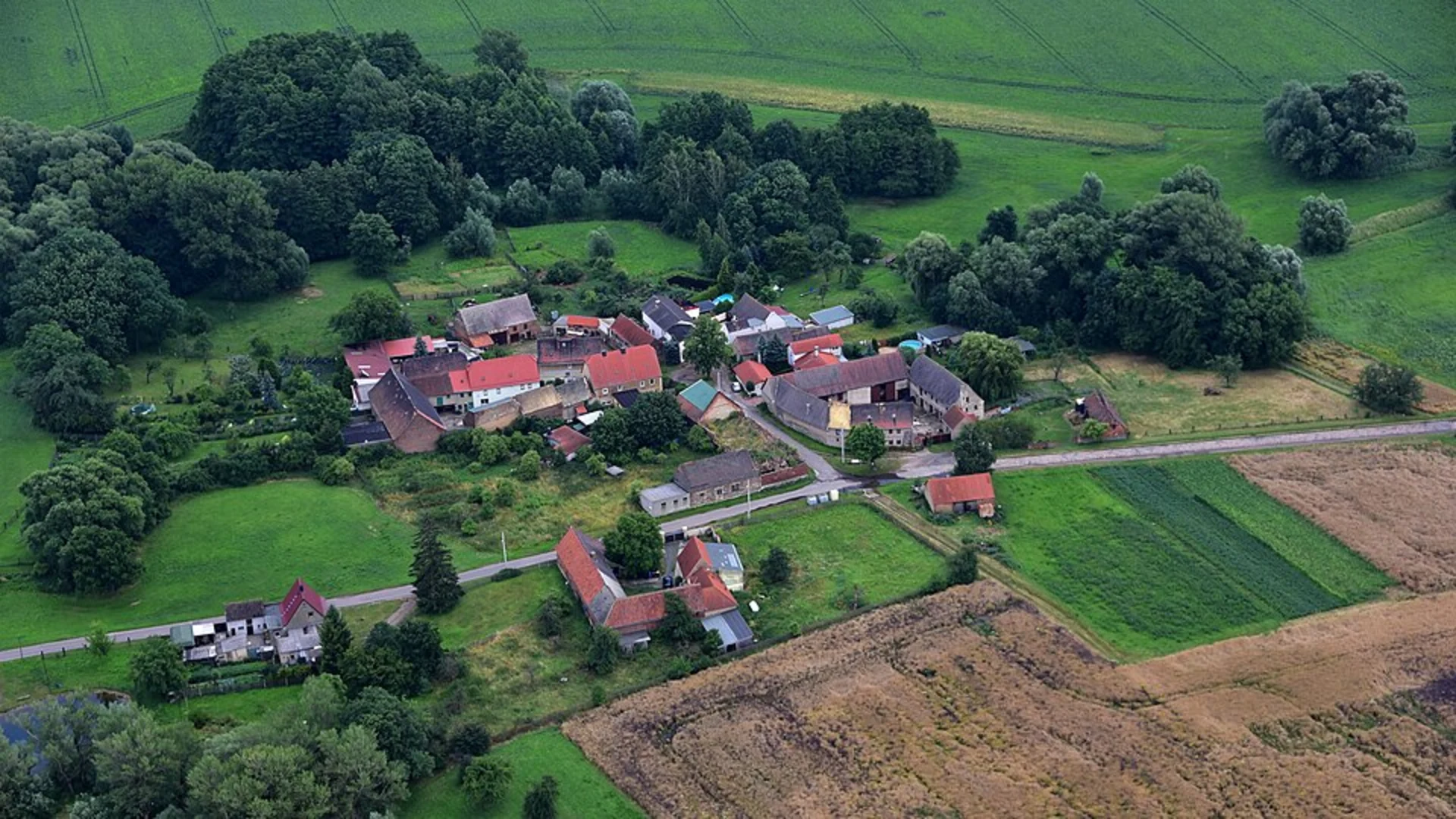 An image depicting the trail Ellerbach and Ruedesheim Loop and its surrounding area.