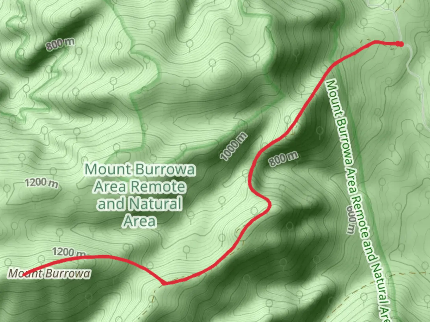 An image depicting the trail Mt Burrowa and The Pimple Trail and its surrounding area.