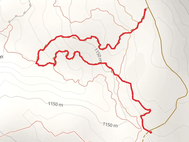 Sidewinder Trail