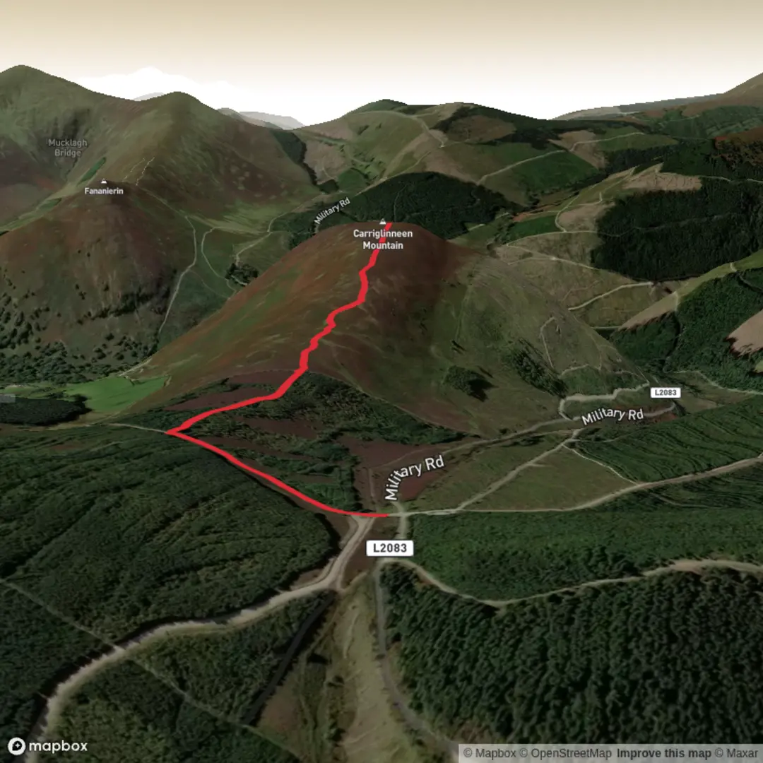 An image depicting the trail Sliabh Charraig Linnin and its surrounding area.