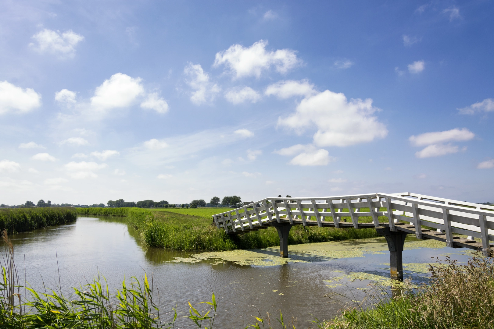 An image depicting the trail Het Hoge Venne and Vennebulten via Keizersbeekpad and its surrounding area.