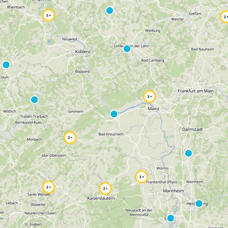 Mainz-Bingen Static Map