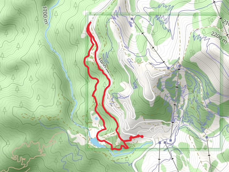 Bogus Creek Loop