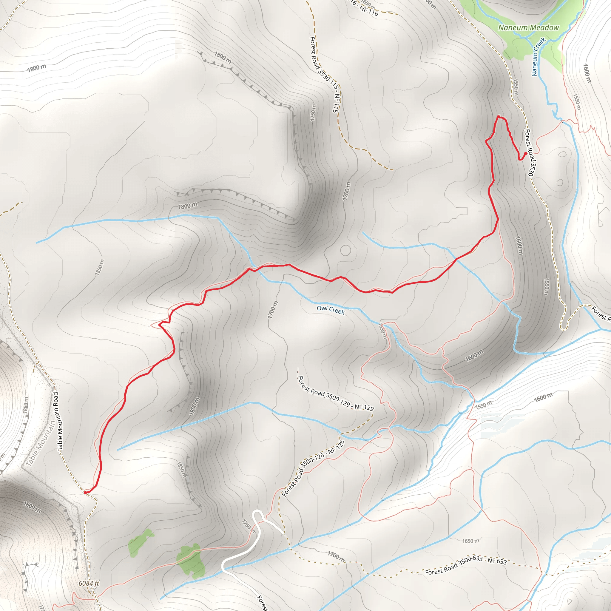 Naneum Meadows Trail mobile static map
