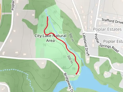 City Lake Falls
