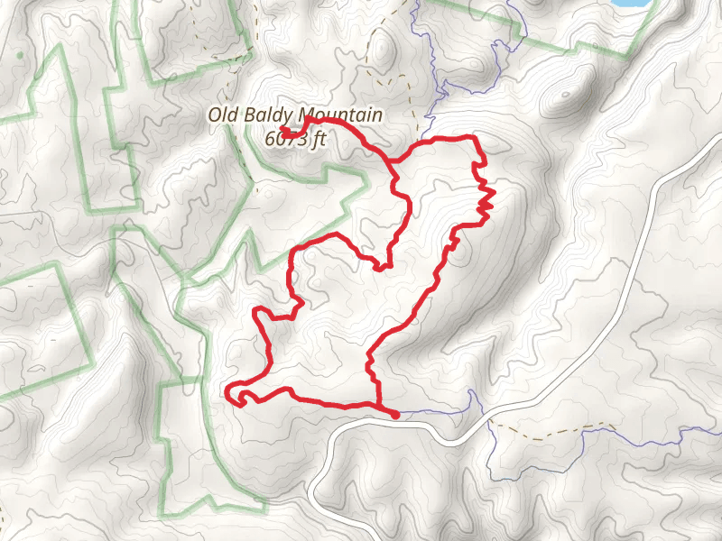 Old Baldy Loop Trail
