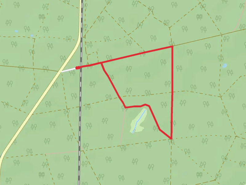 Scheidenschneise and Willershäger Hufeweg Loop