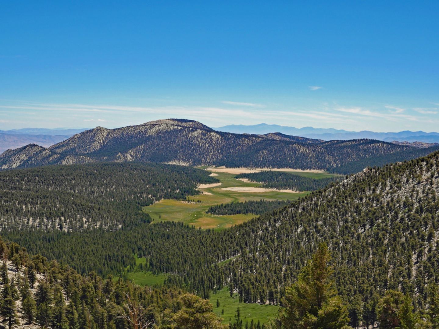 An image depicting the trail Little Whitney to Big Whitney Meadow via Theodore Solomons Trail and its surrounding area.