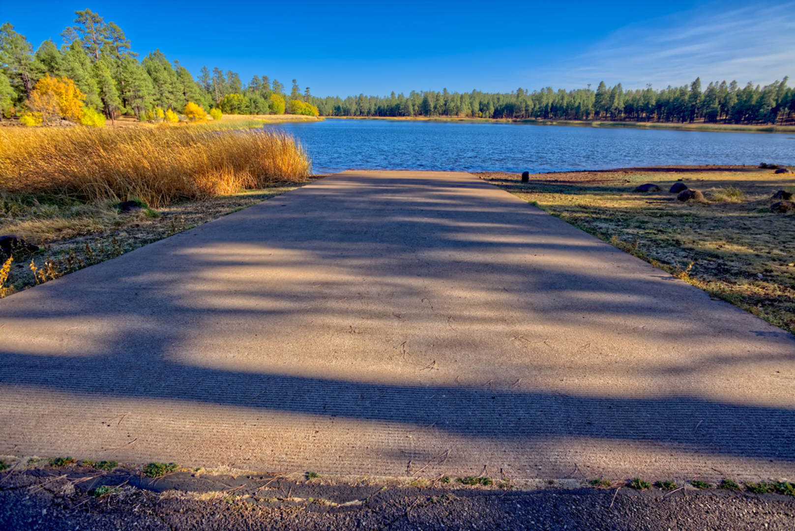 An image depicting the trail Whitehorse Trail and its surrounding area.