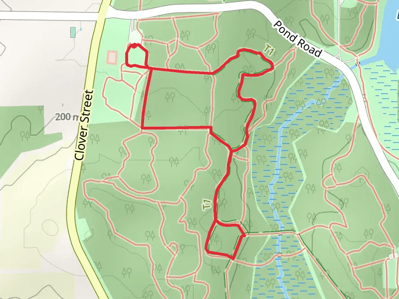 Nature and Swamp Trail