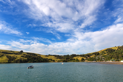 Children Bay Loop