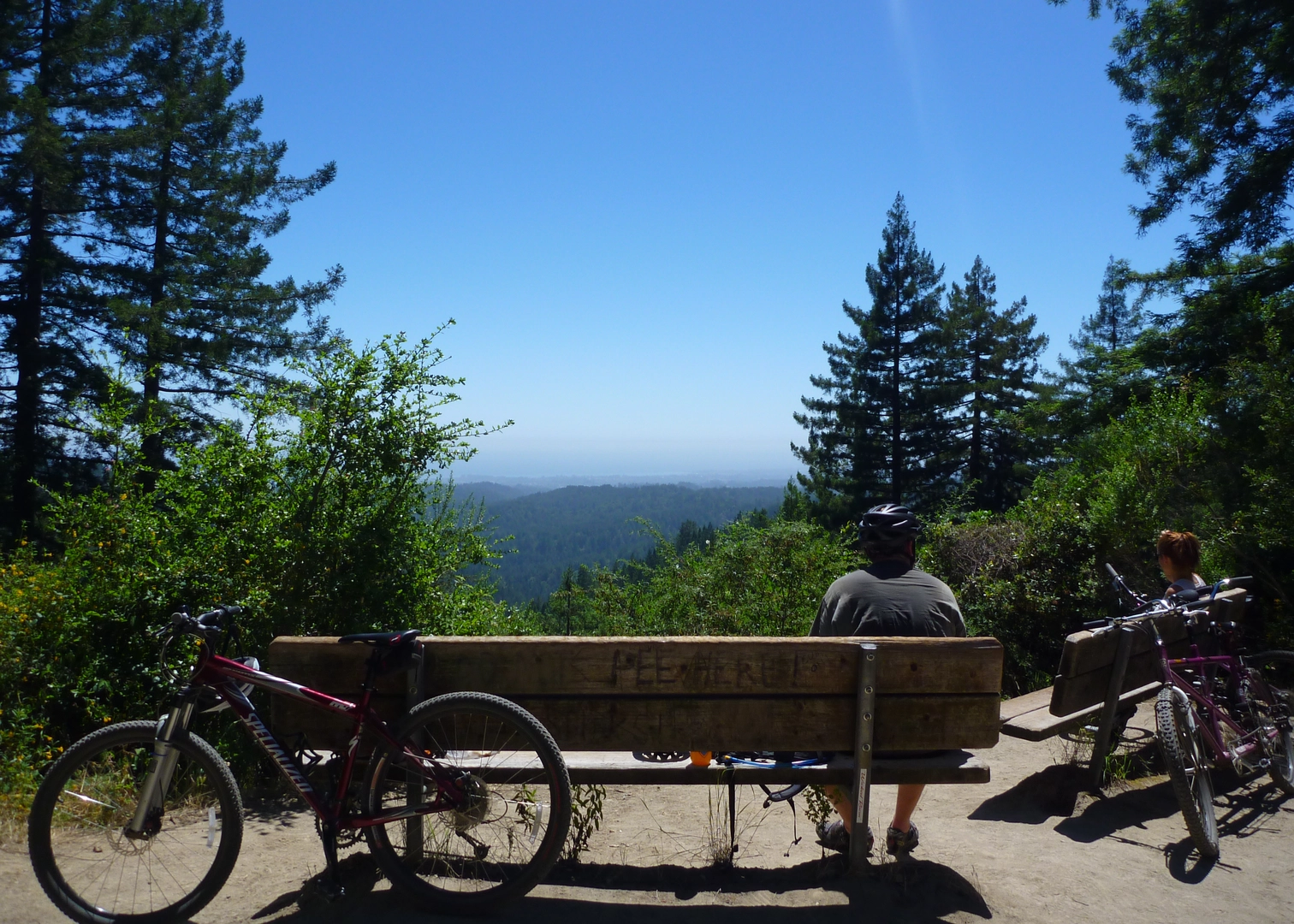 An image depicting the trail Sand Point and Lone Tree Prairie and its surrounding area.
