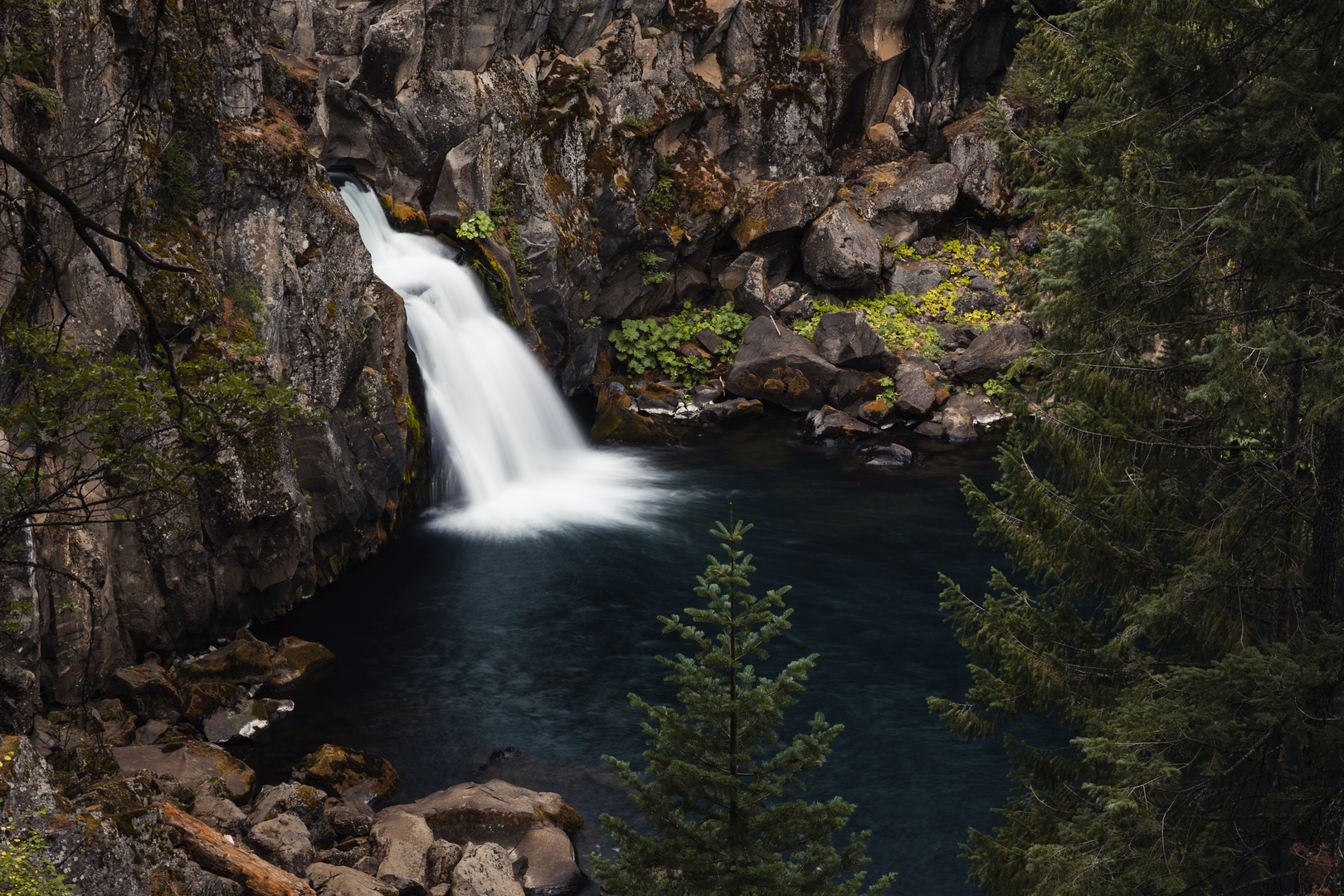 An image depicting the trail McCloud River and its surrounding area.