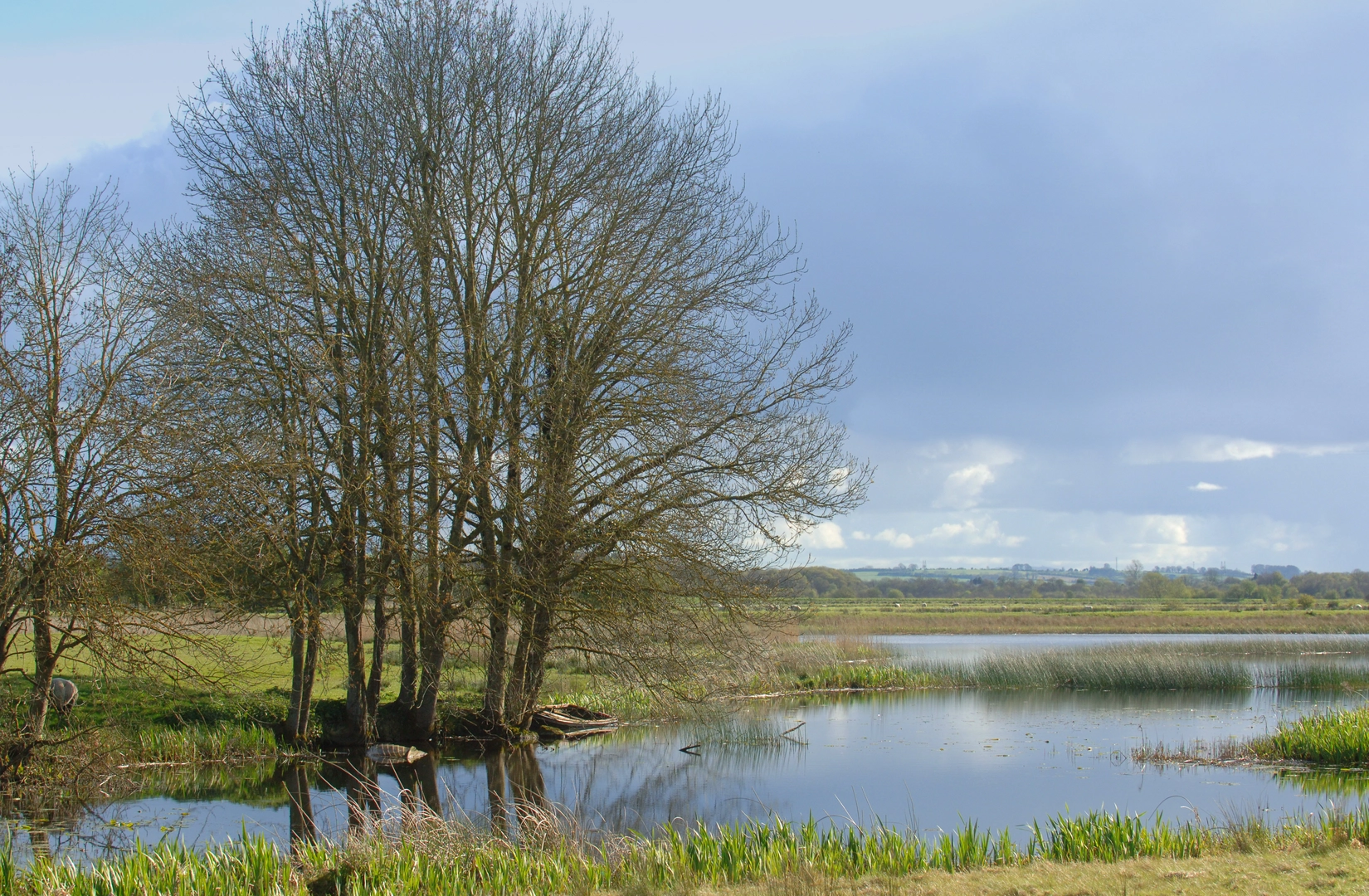 An image depicting the trail Grand Canal Way and its surrounding area.