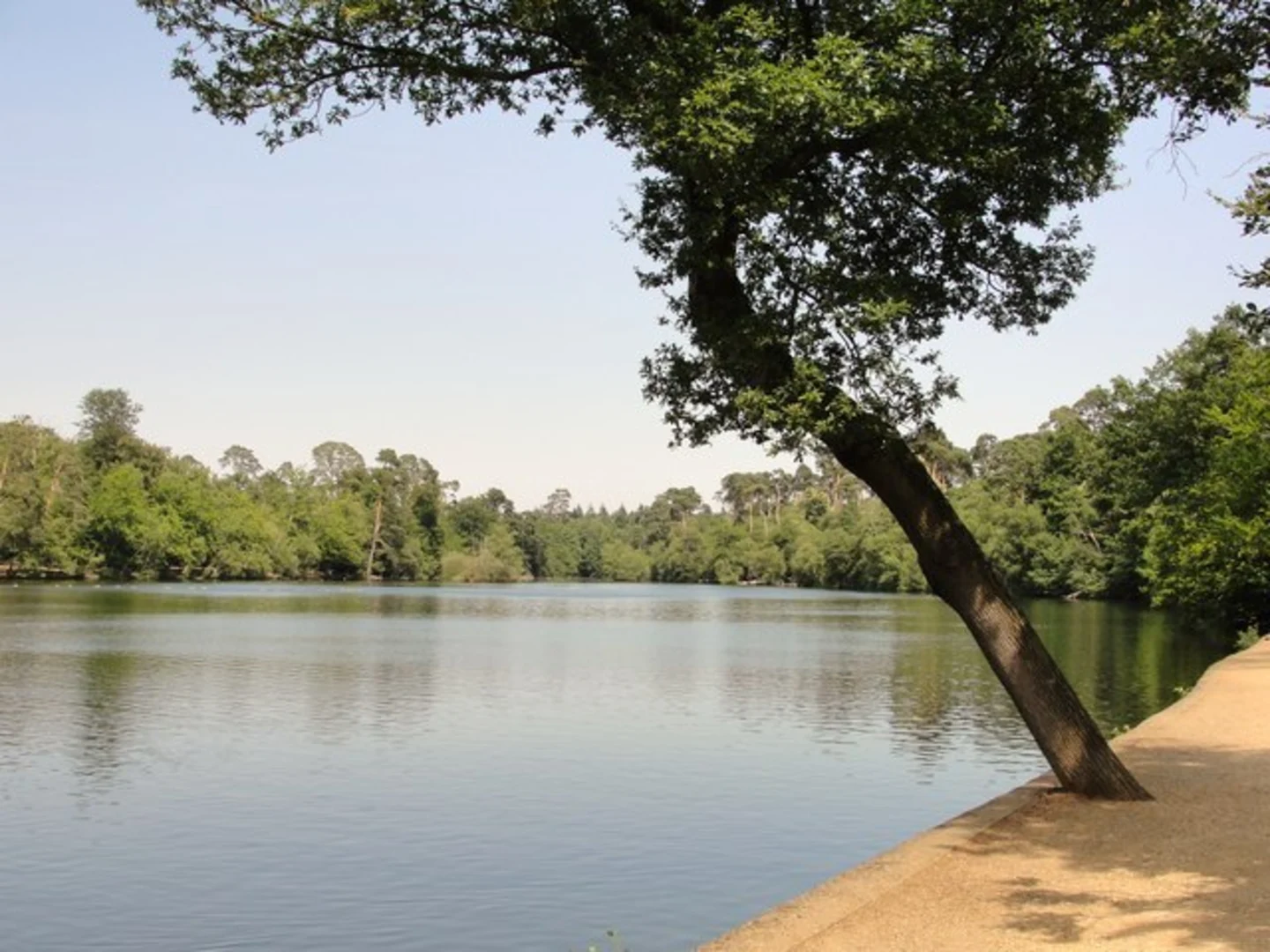 An image depicting the trail Black Park Country Park Loop and its surrounding area.