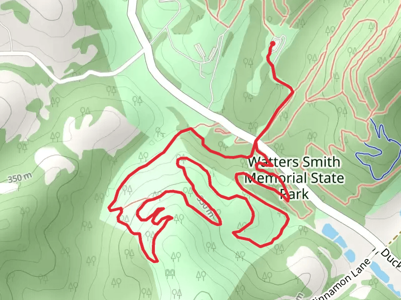 Burr Smith Loop