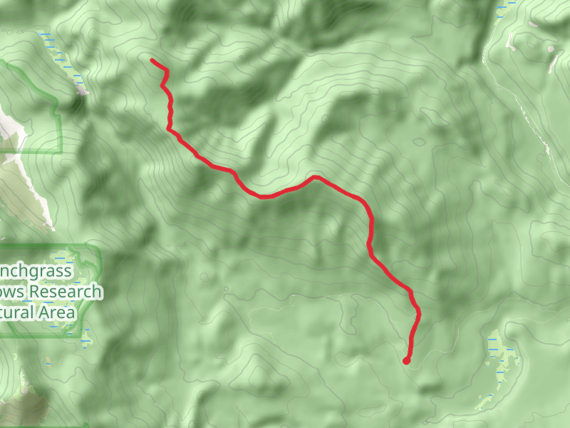 Tillicum Peak Trail