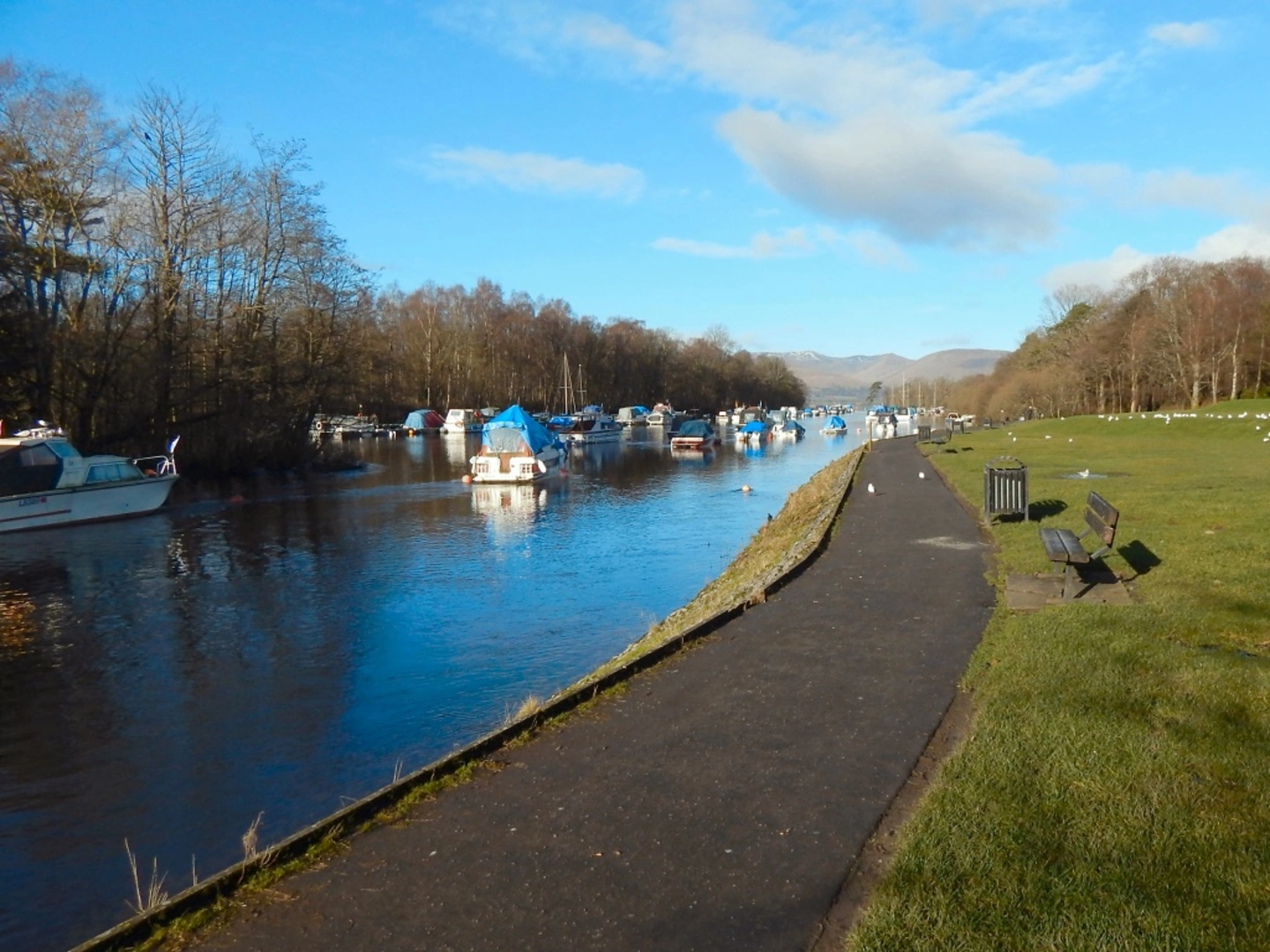 An image depicting the trail Balloch Castle Country Park - Castle View Route and its surrounding area.