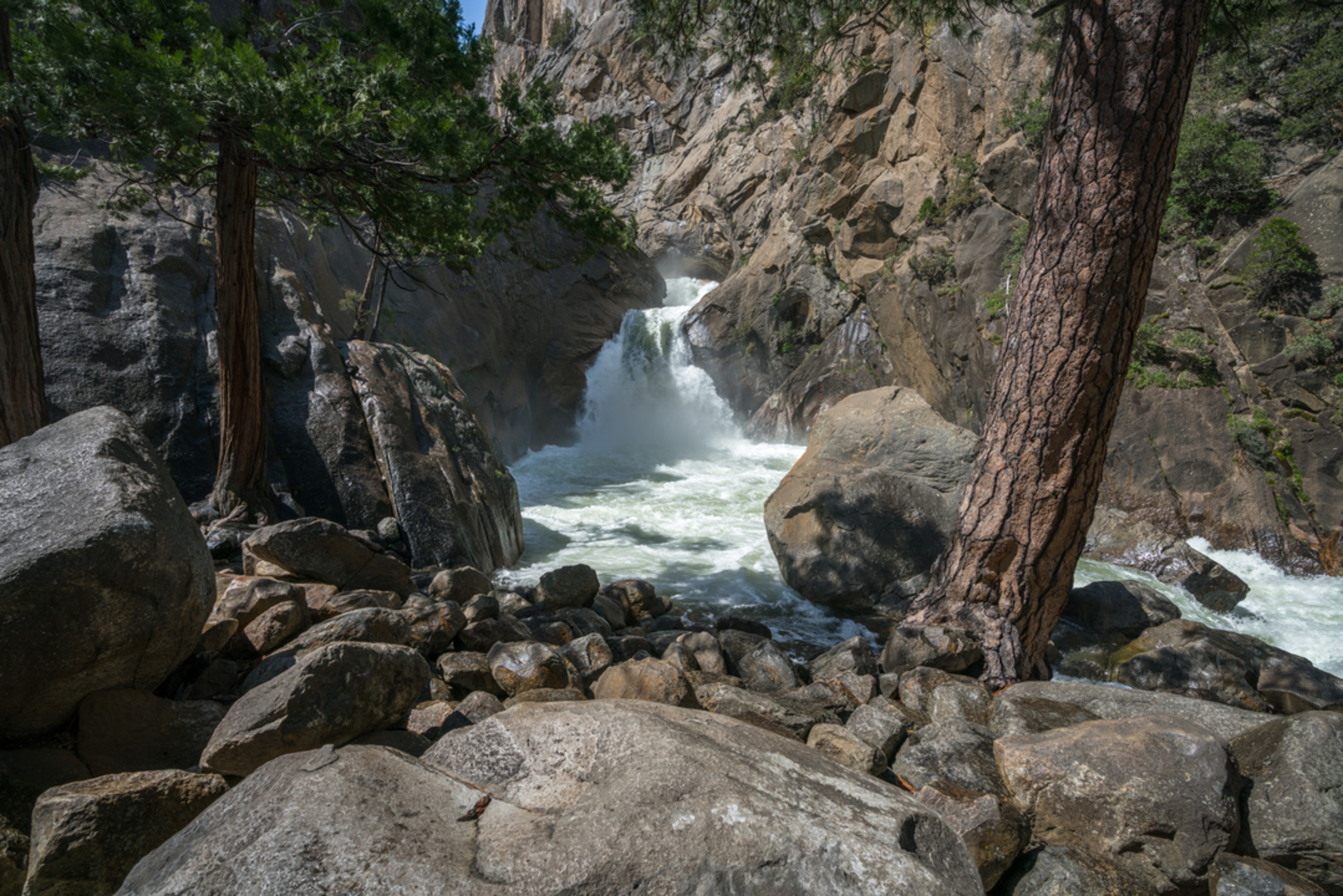 An image depicting the trail Roaring River Falls Trail and its surrounding area.