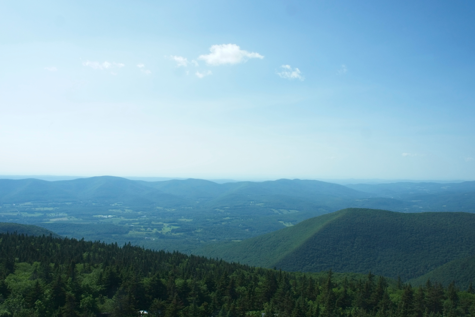 An image depicting the trail Mount Greylock Loop and its surrounding area.