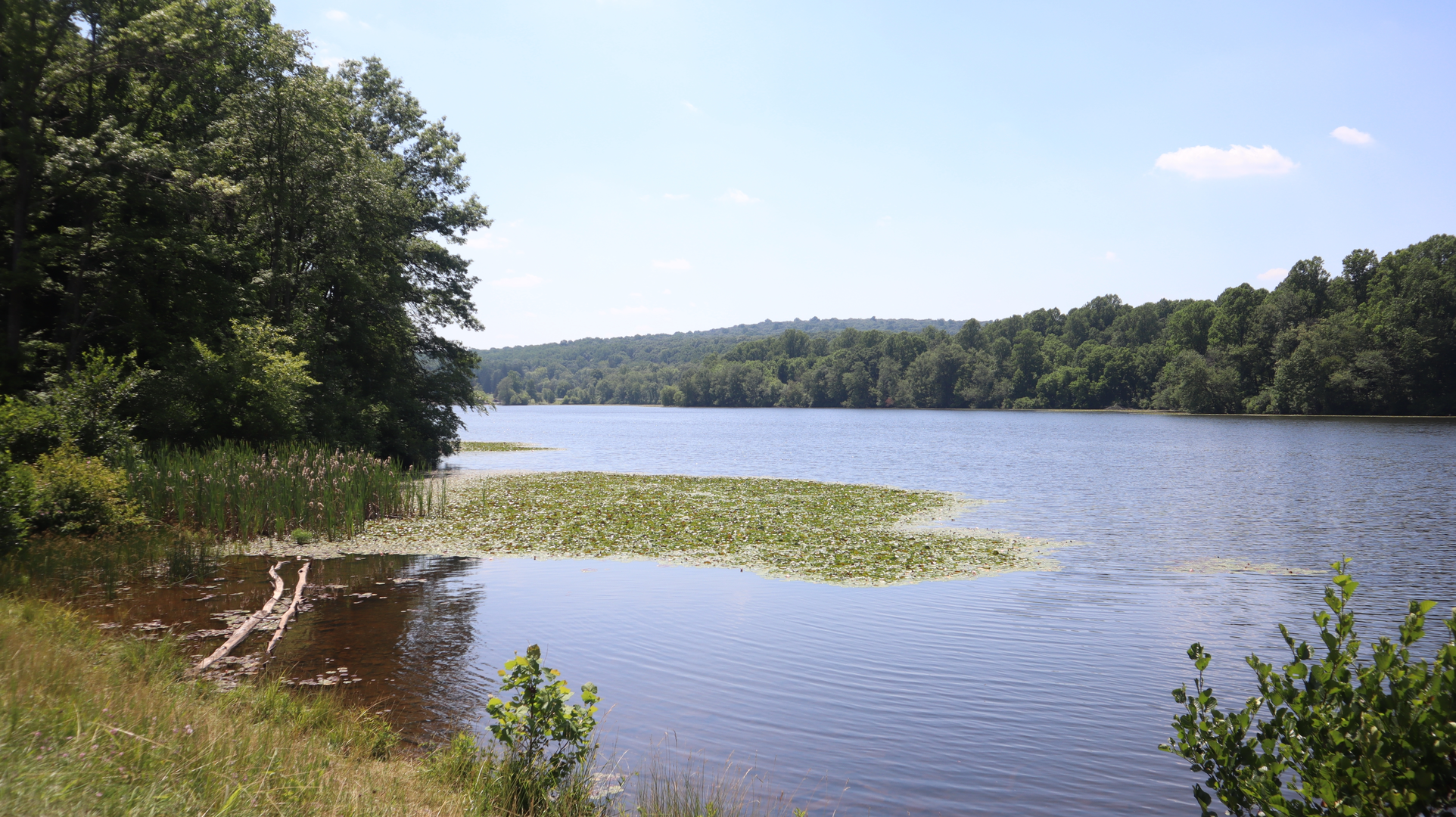 An image depicting the trail Hoopwell Lake and Boone Trail and its surrounding area.