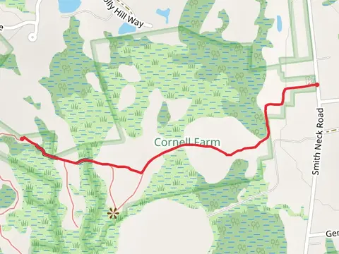 Holly Hill Way