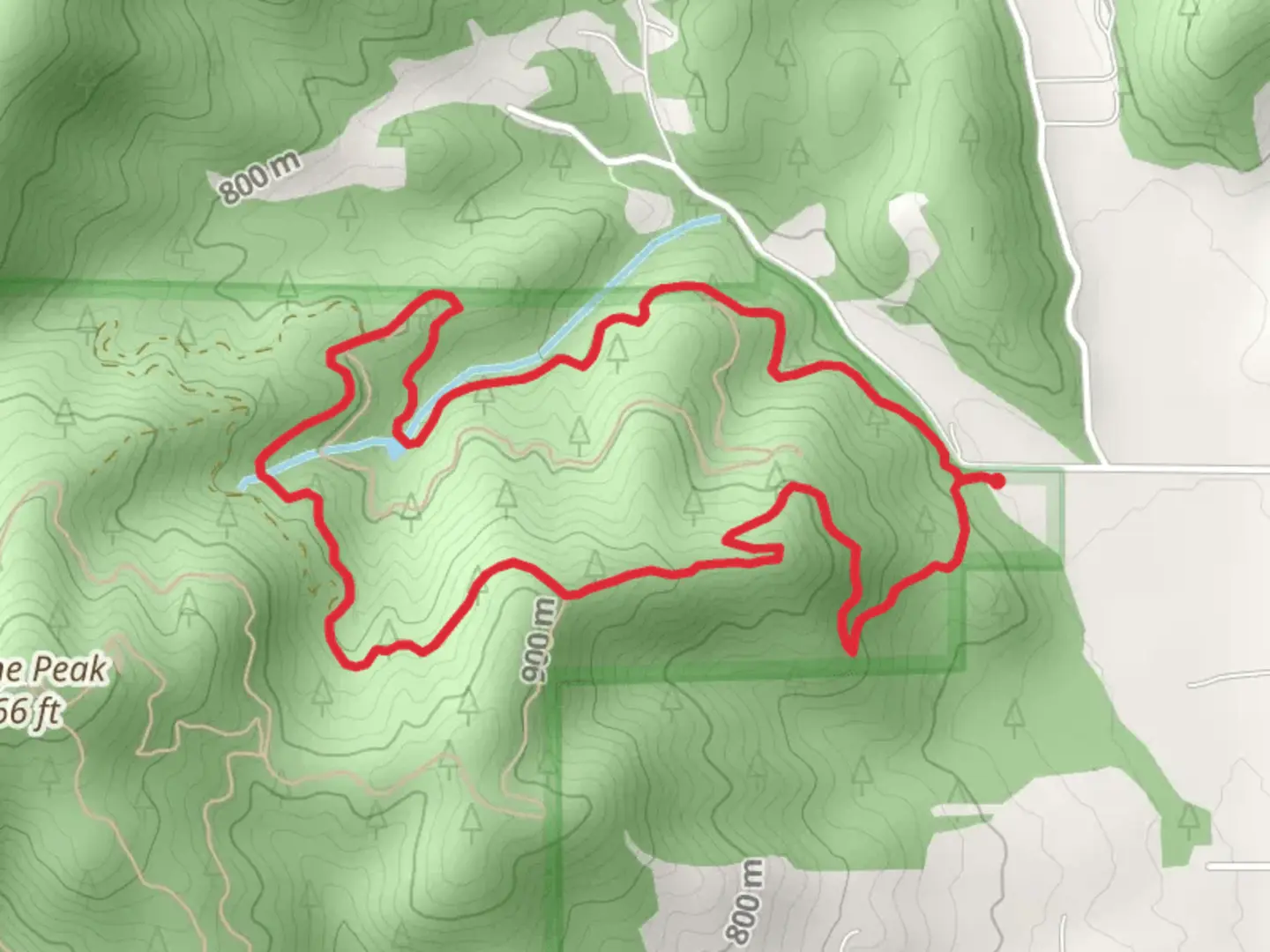 An image depicting the trail Canfield Gulch Loop and its surrounding area.