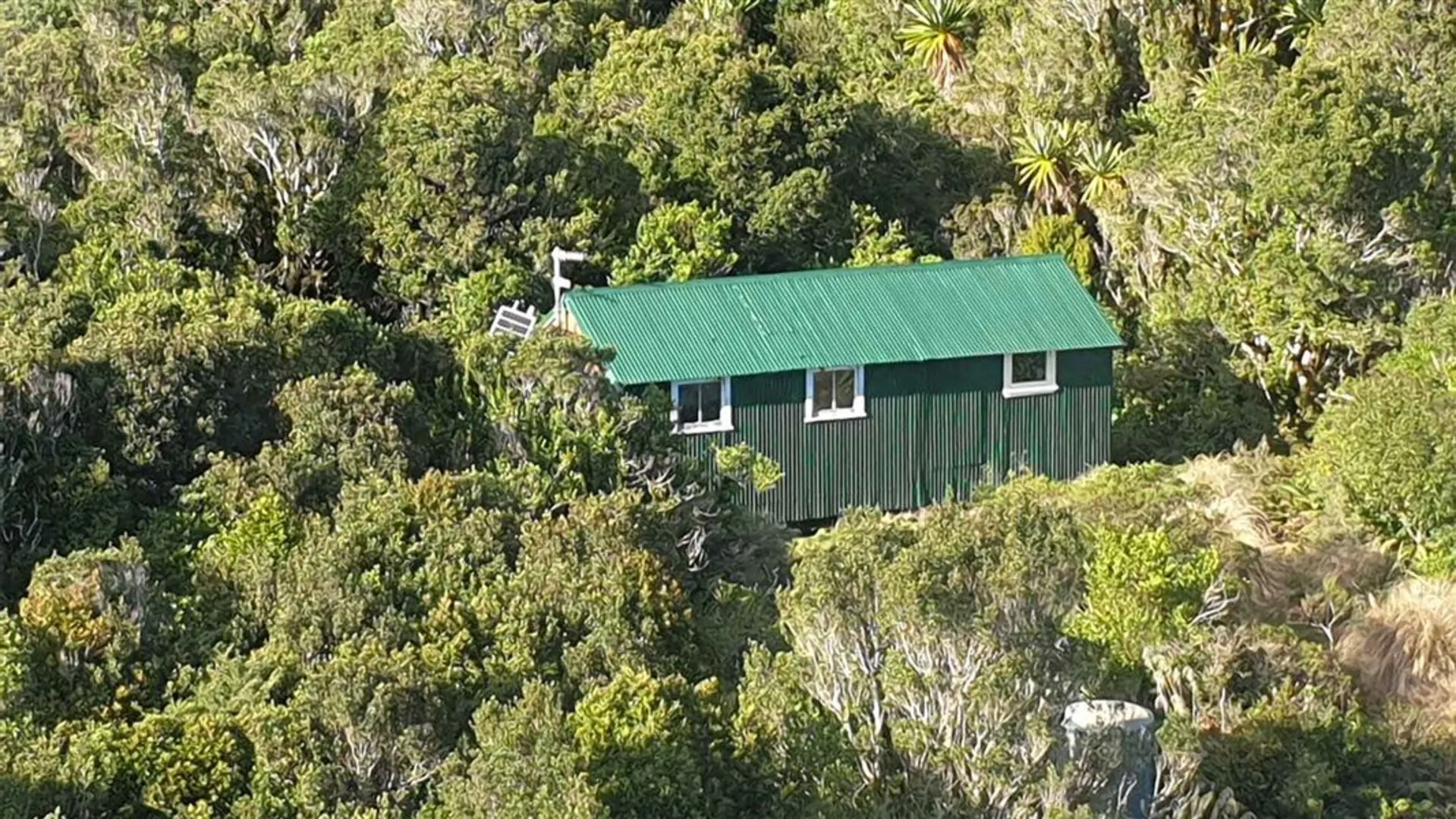 An image depicting the trail Puniho Track to Kahui Hut and its surrounding area.
