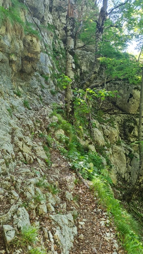 Slap Savica to Dom na Komni via Črno jezero Lake