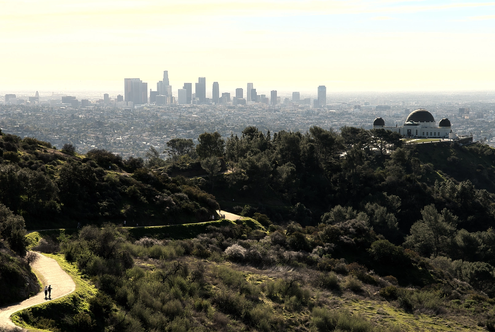 An image depicting the trail Boy Scout, Observatory and Hogback Loop Trail and its surrounding area.