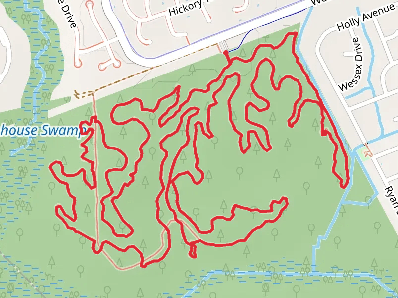 Wannamaker North Loop Trail