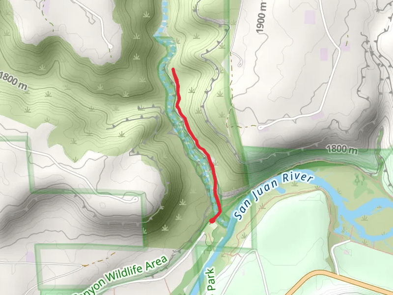 Simon Canyon Foot Trail