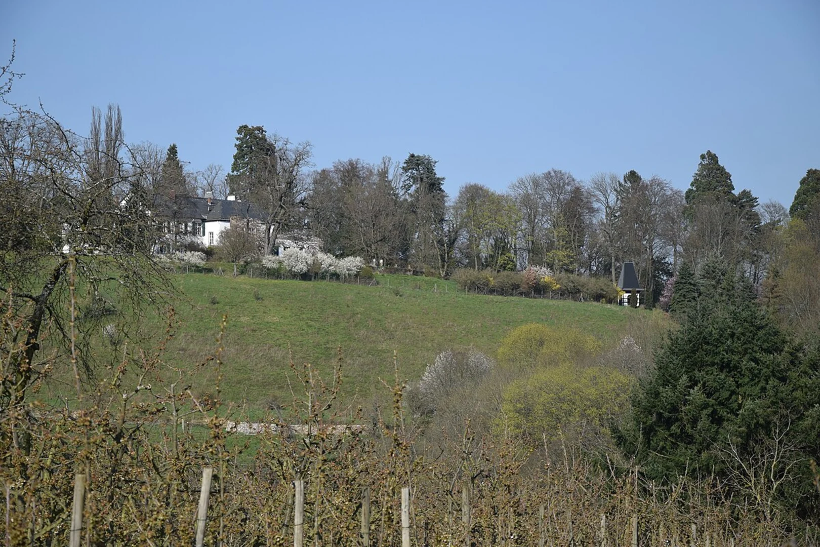 An image depicting the trail Sommerberg bei Frauenstein via Alte Rheingauser Strasse and its surrounding area.
