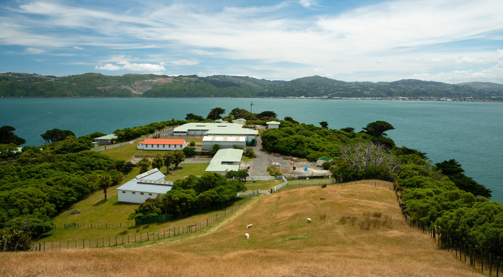An image depicting the trail Matiu - Somes Island Loop Track and its surrounding area.
