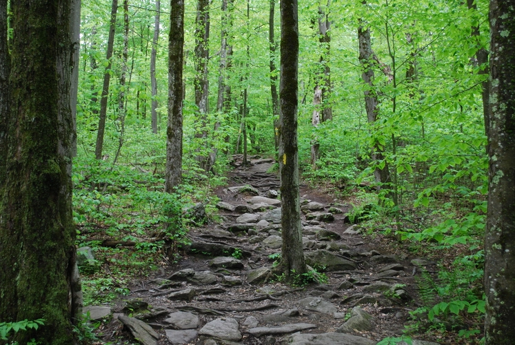 Echo Lake, Mount Wachusett and Old Indian Trail Loop