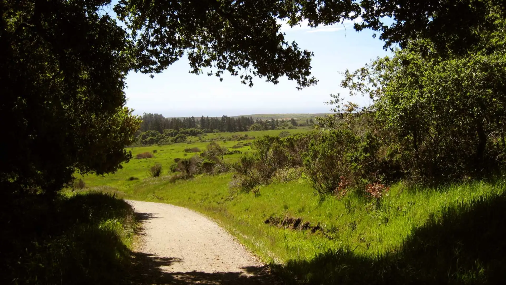 An image depicting the trail Engelsman Loop Trail and its surrounding area.