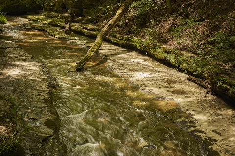 Slippery Rock Creek via Kildoo Trail and Slippery Rock Gorge Trail
