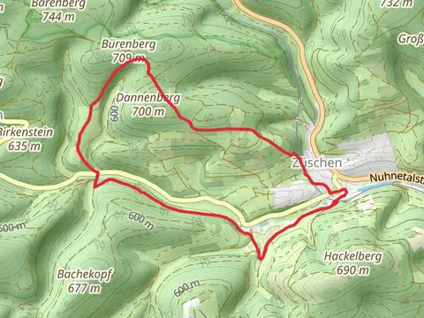 Robert Kolb Weg and Zueschen Rundweg - Waldweg