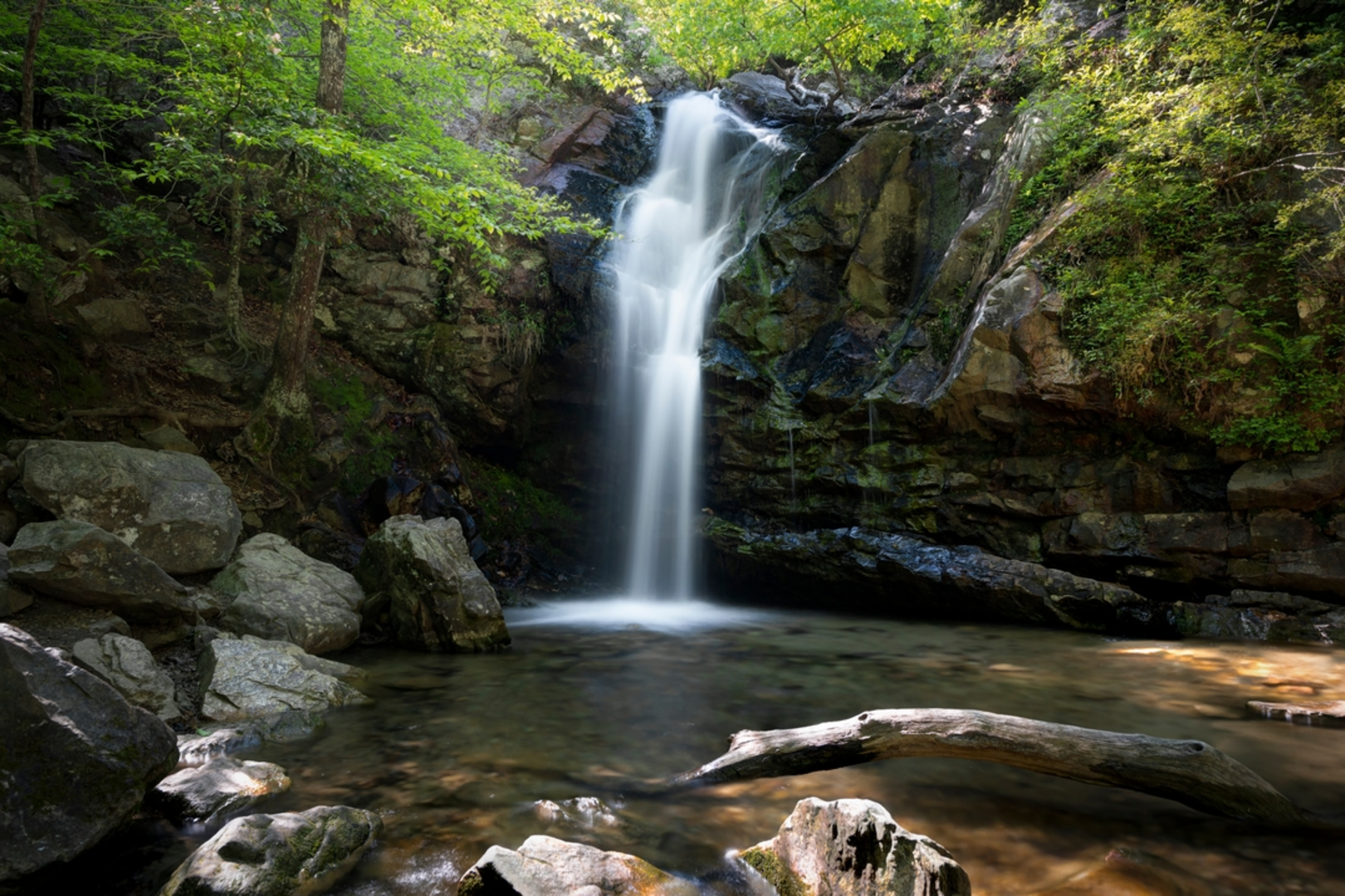 An image depicting the trail Peavine Falls Loop and its surrounding area.