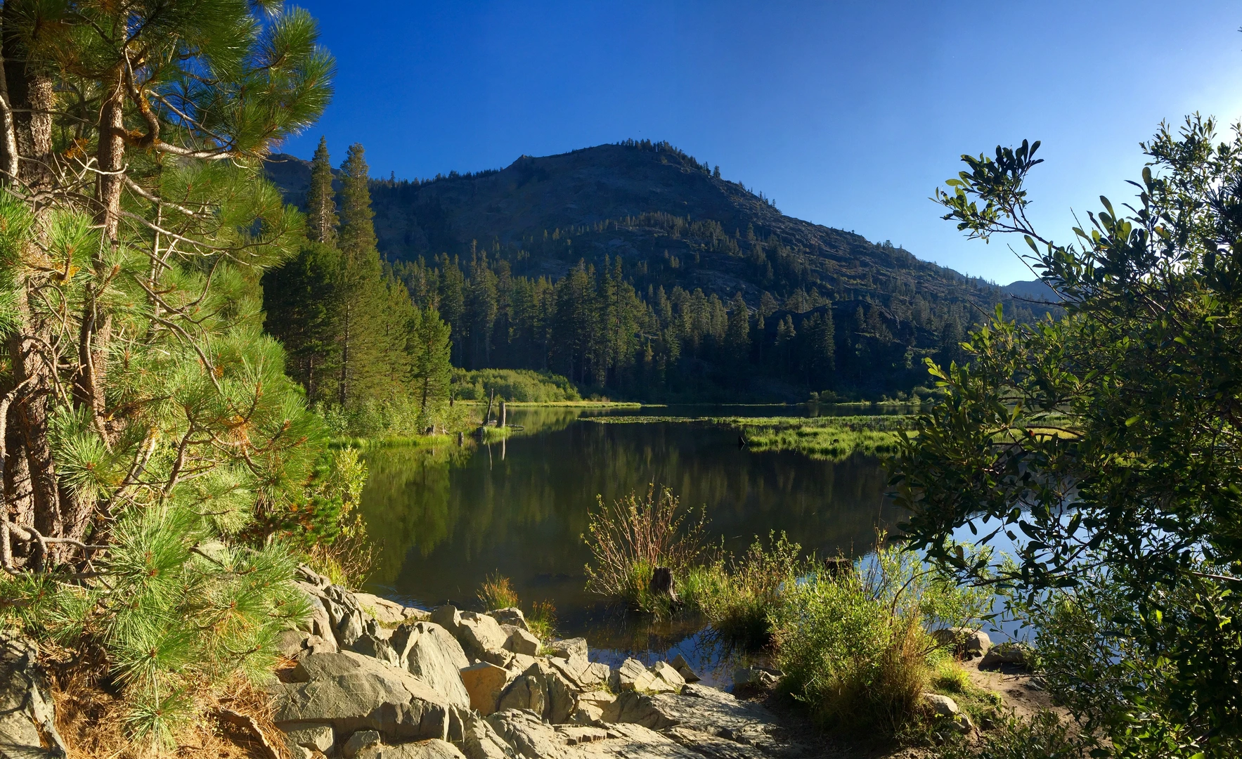 An image depicting the trail Glen Alpine Springs Road and its surrounding area.