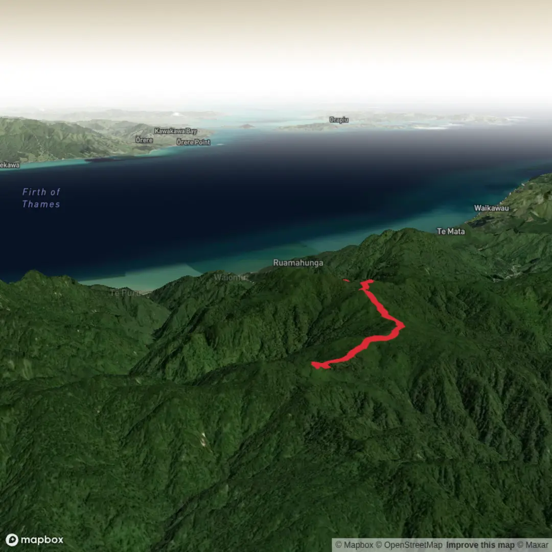 An image depicting the trail Crosbies Hut via Waiomu Track and its surrounding area.