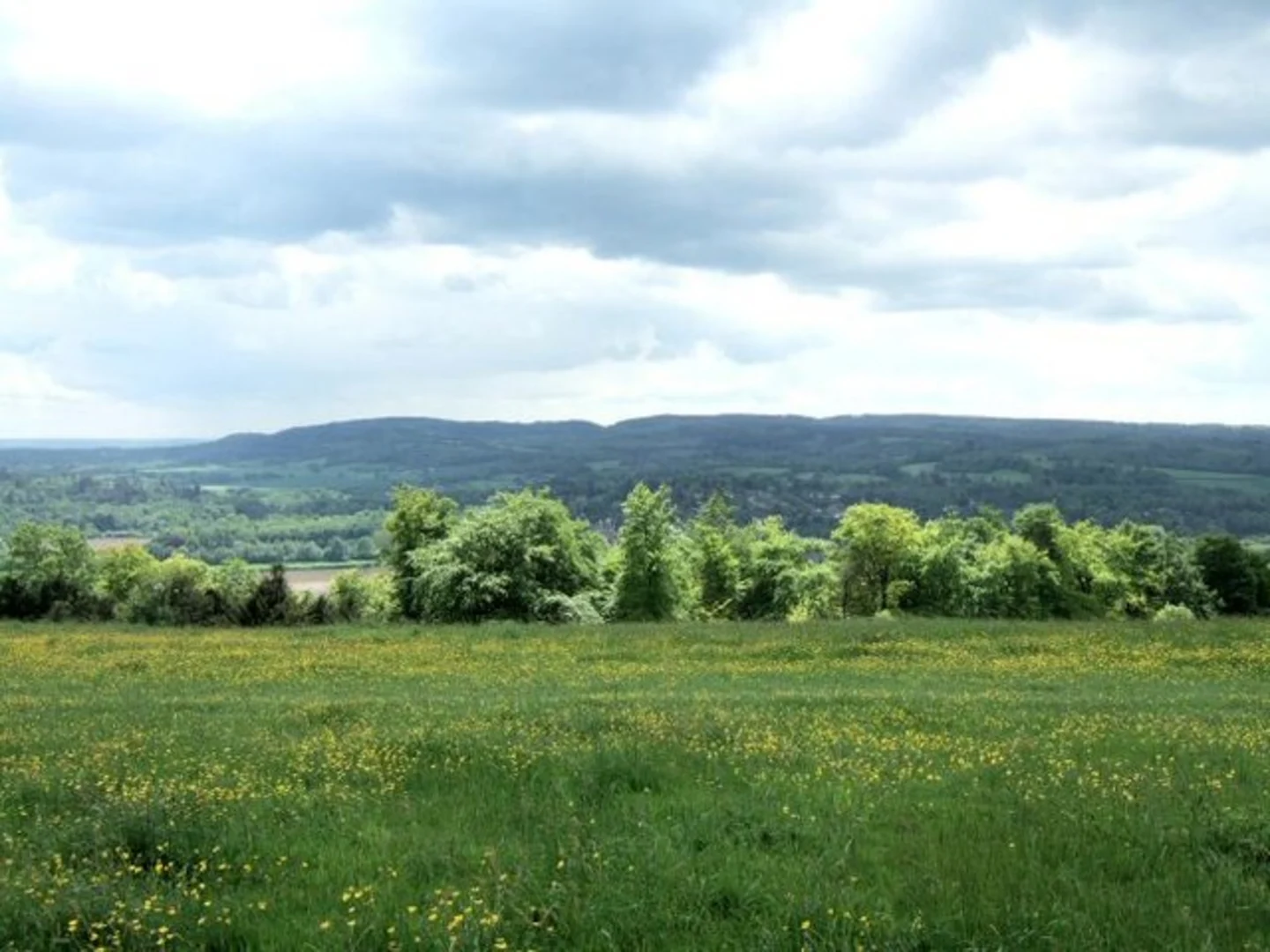 An image depicting the trail Ranmore Common and Ashcombe Wood Loop and its surrounding area.
