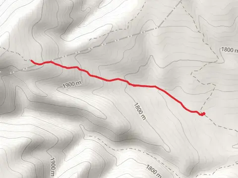 Ponderosa Trail