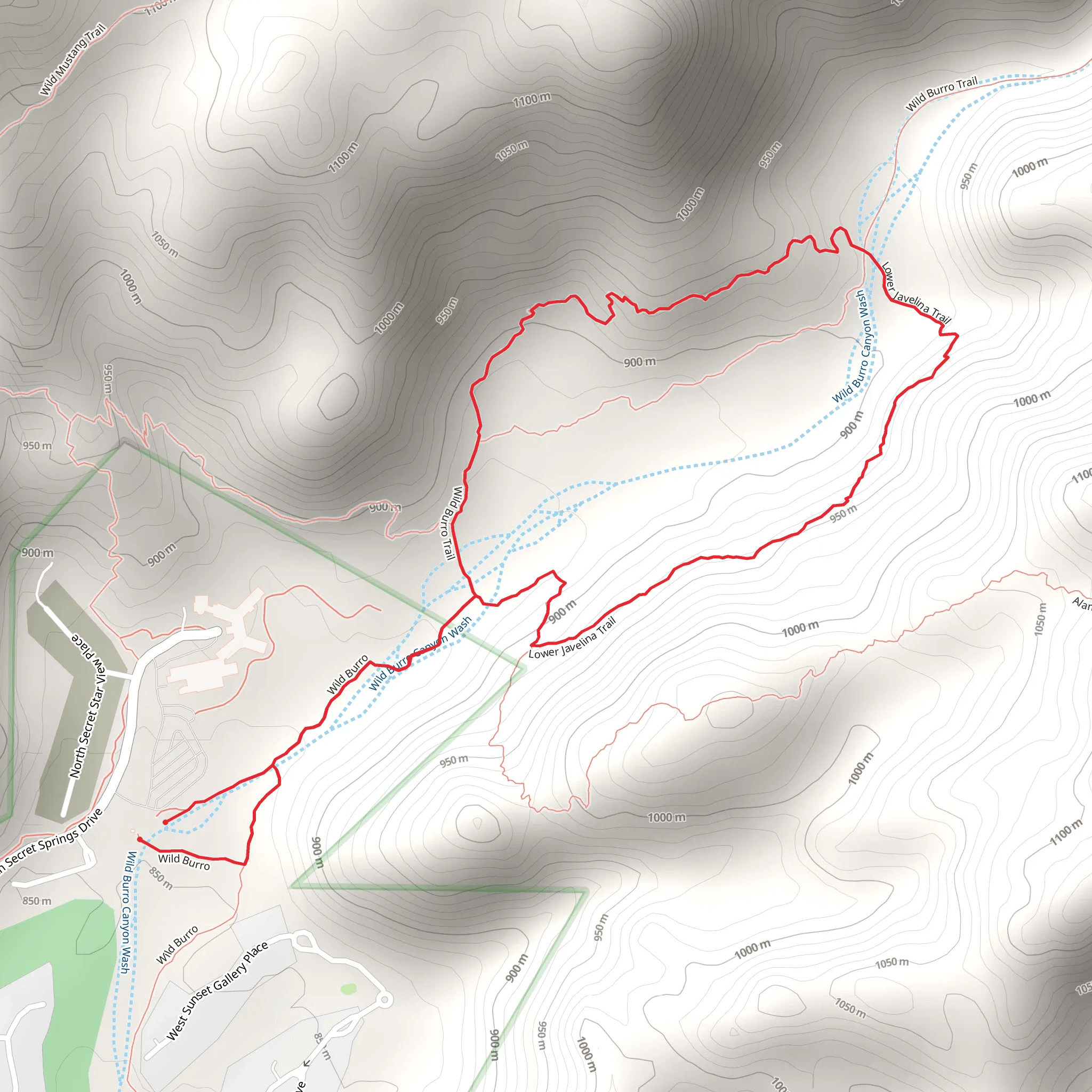 Wild Burro and Lower Javelina Loop Trail mobile static map