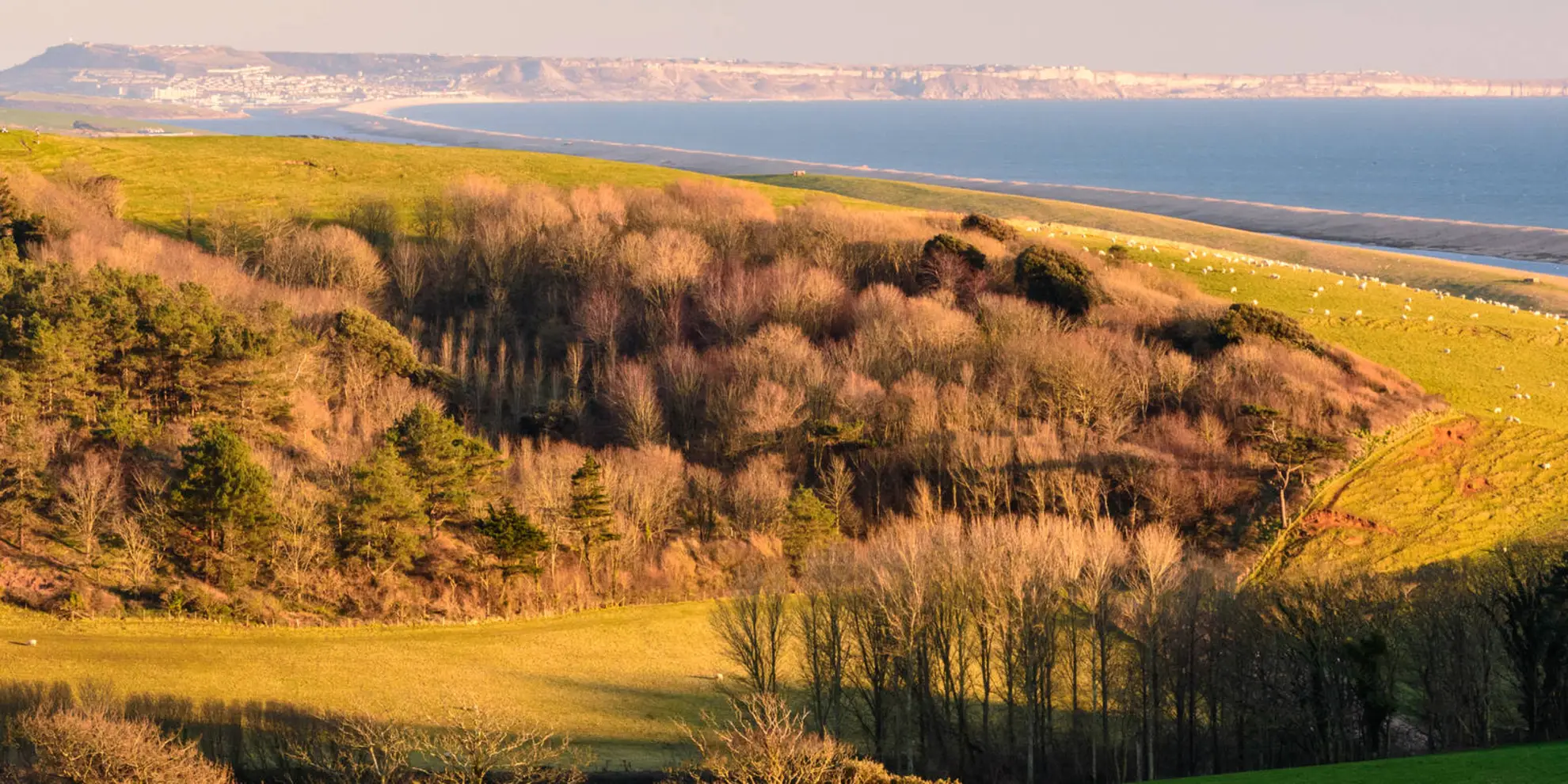 An image depicting the trail Littlebredy from Abbotsbury and its surrounding area.