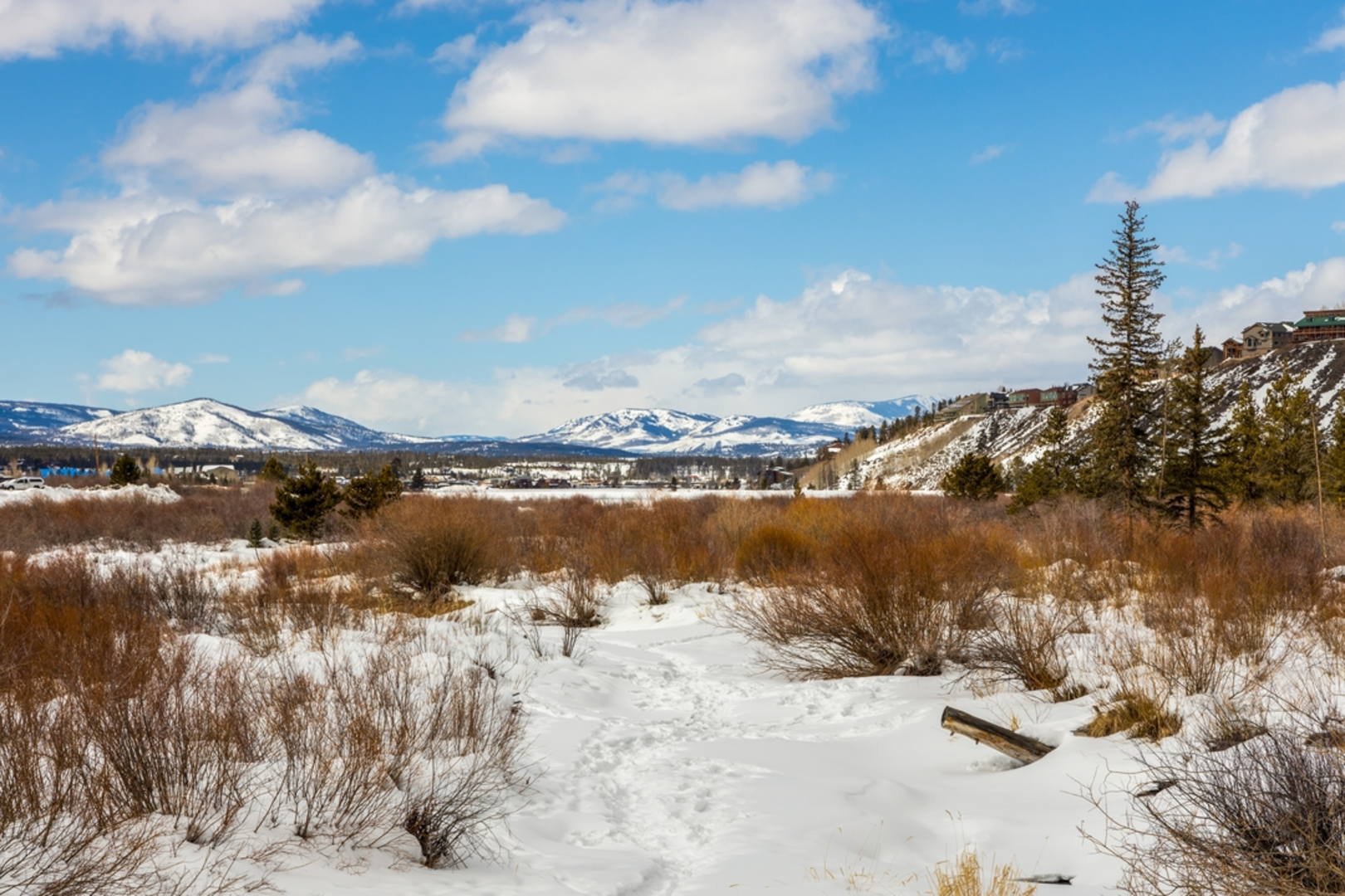 An image depicting the trail Crosstrails Trail via Meadow Trail and its surrounding area.